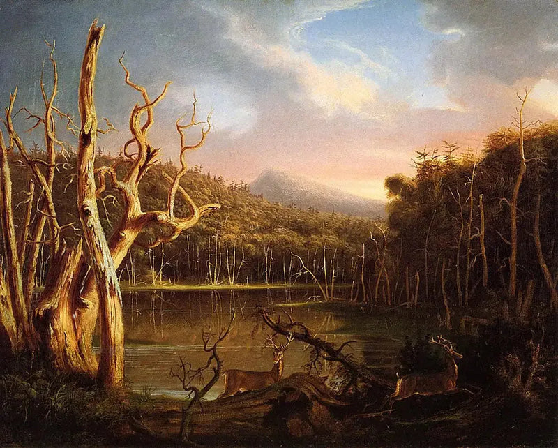 Ölü Ağaçlar Gölü - Thomas Cole