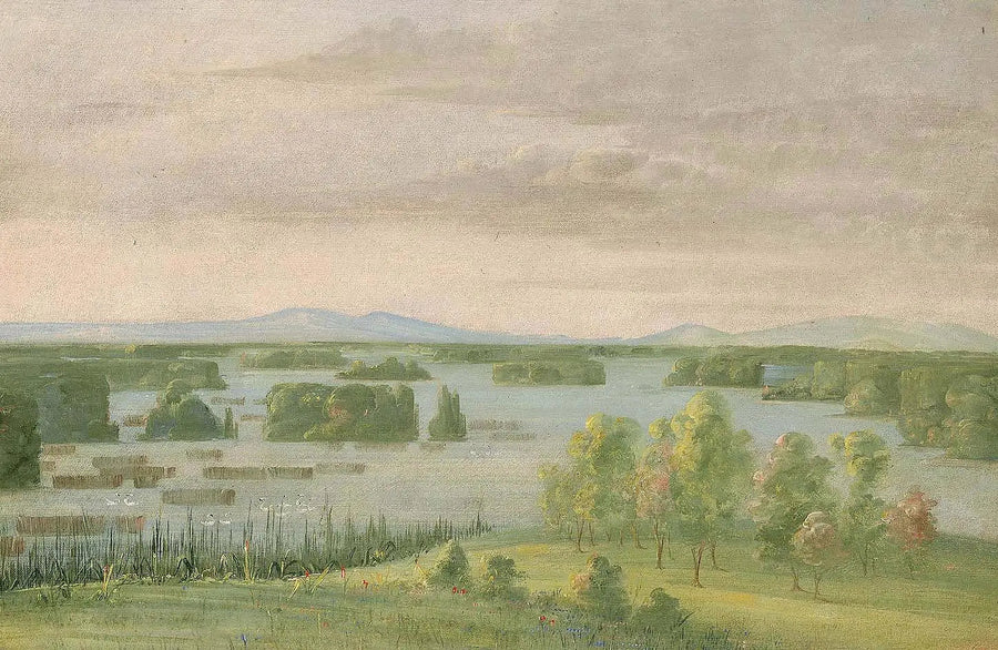 Kuğu Gölü (Kuğular Gölü), Çayırlar Yamaçları Yakınında - George Catlin
