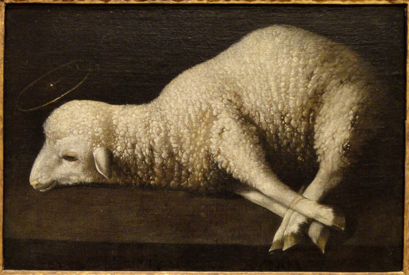 Tanrı'nın Kuzu - Francisco de Zurbarán
