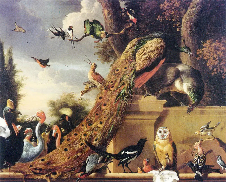 Langh, Den Koningh'ten ayrıldı, kuşların konseri - Melchior de Hondecoeter