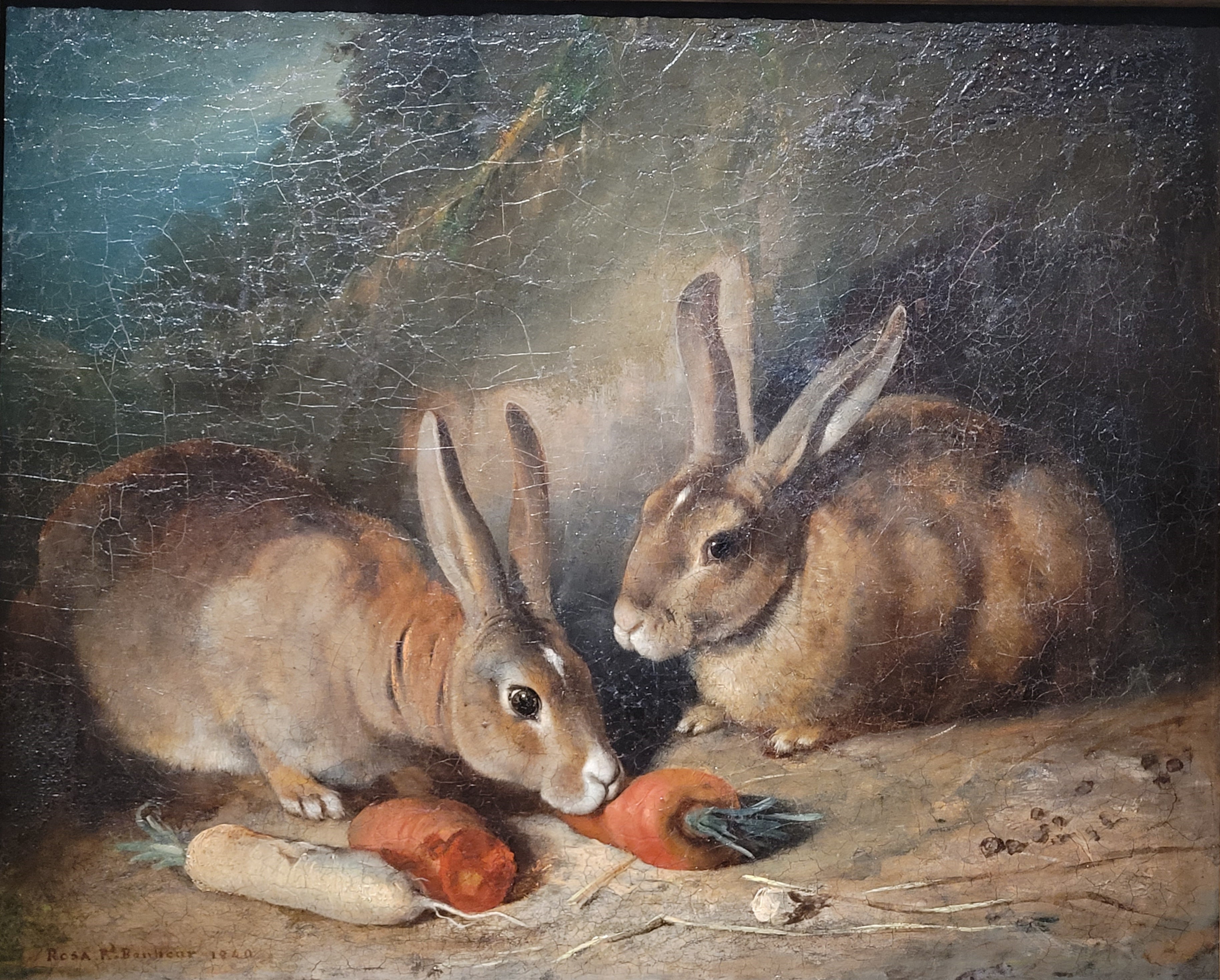 Lapins - Rosa Bonheur