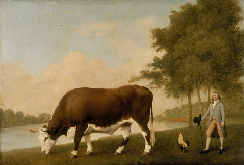Lincolnshire sığırı - George Stubbs