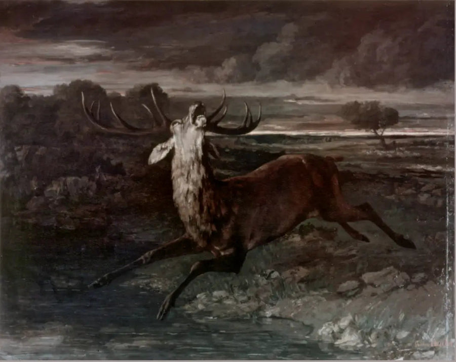 Su İçen Geyik - Gustave Courbet