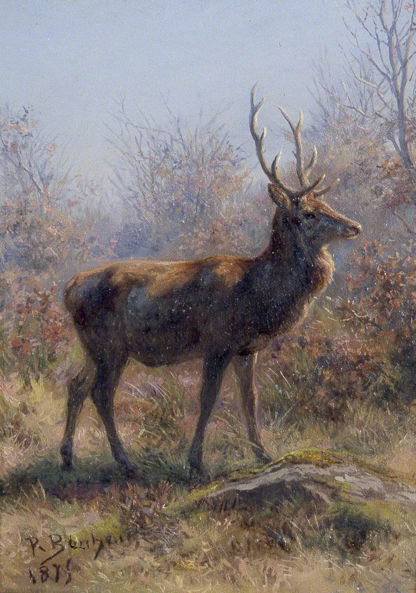 Le Cerf - Rosa Bonheur