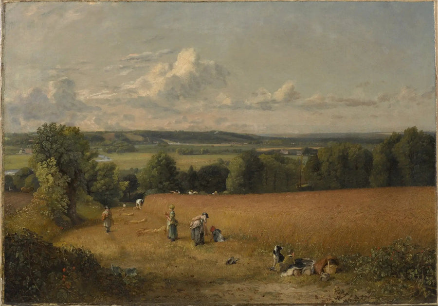 Buğday Tarlası - John Constable