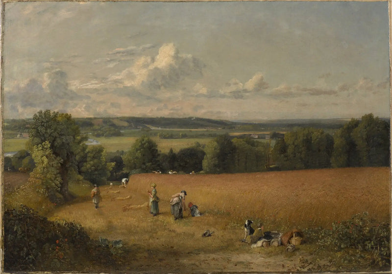 Buğday Tarlası - John Constable