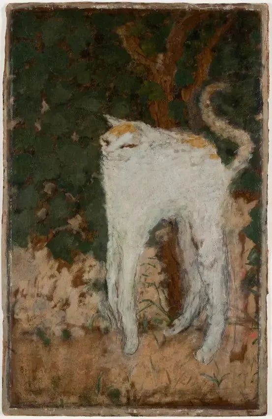 Beyaz Kedi - Pierre Bonnard