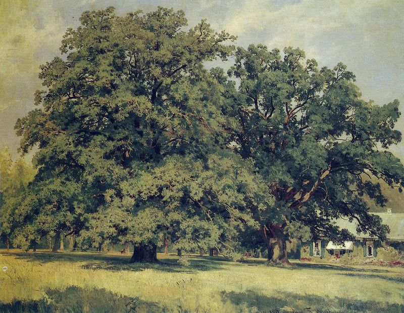 Mordvinovo Meşesi - Ivan Chichkine