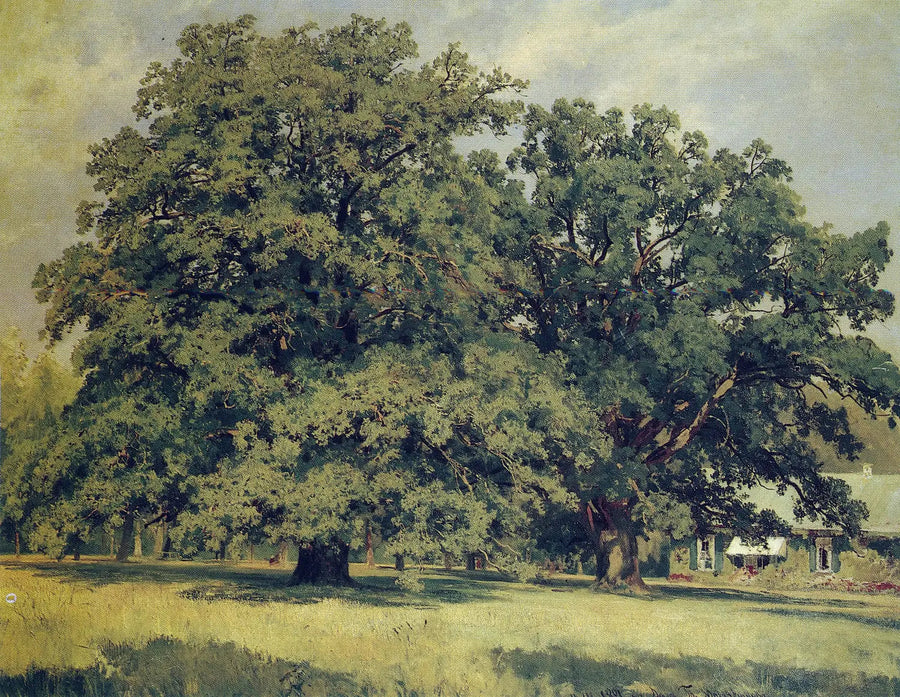 Mordvinovo Meşesi - Ivan Chichkine