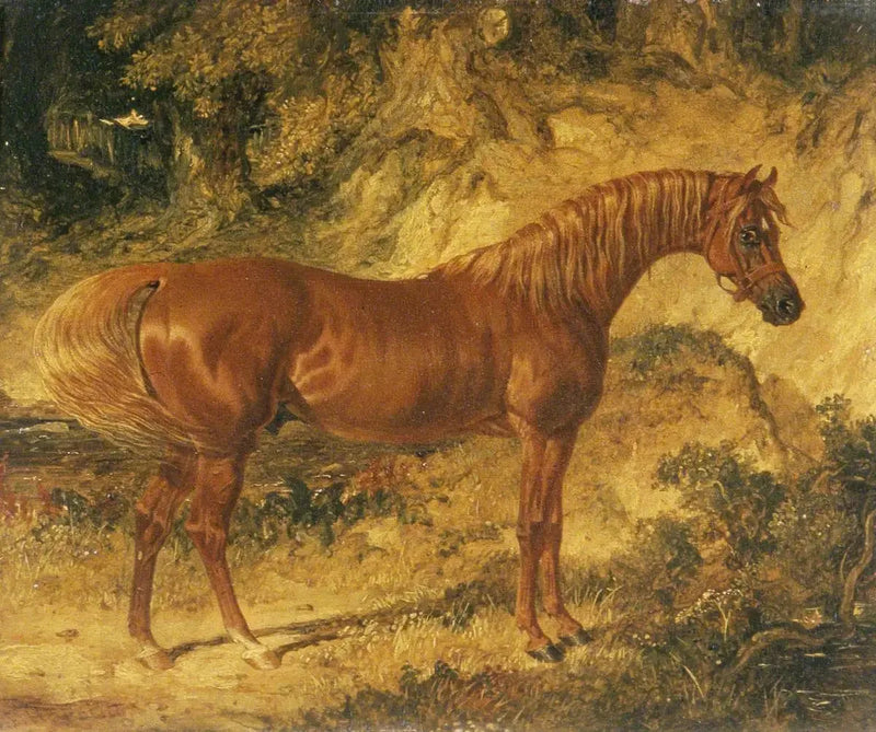 Atlı Yarış Atı « Actéon » - John Frederick Herring, Sr.