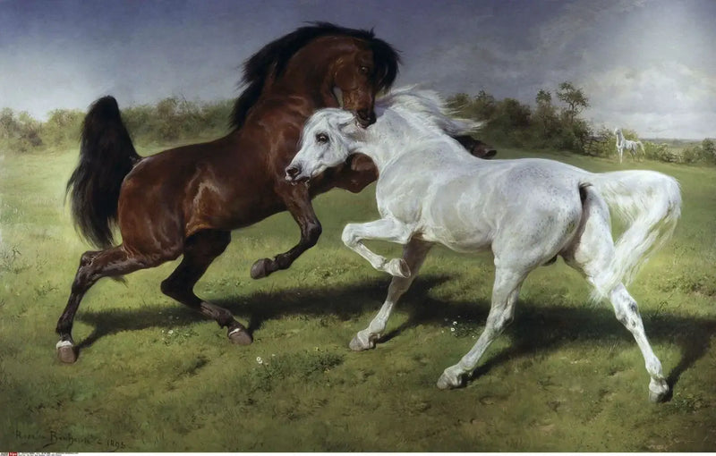 Düello - Rosa Bonheur
