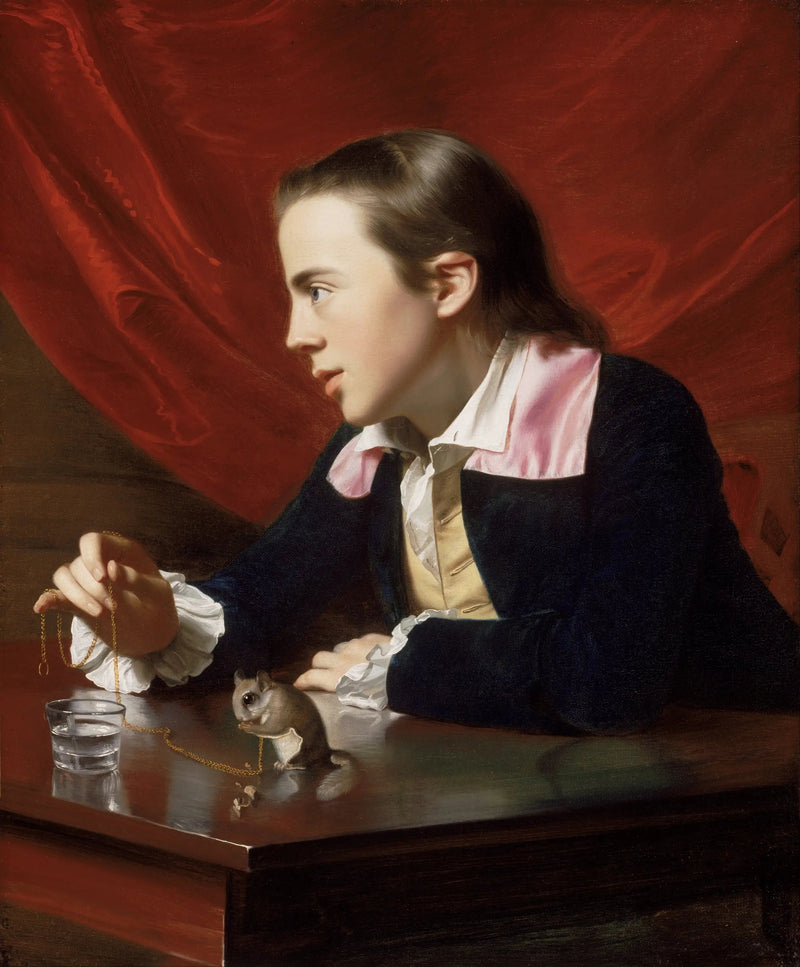 Sincaplı Oğlan - John Singleton Copley