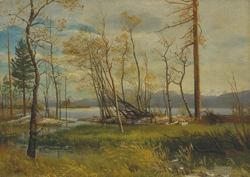 Tahoe Gölü - Albert Bierstadt
