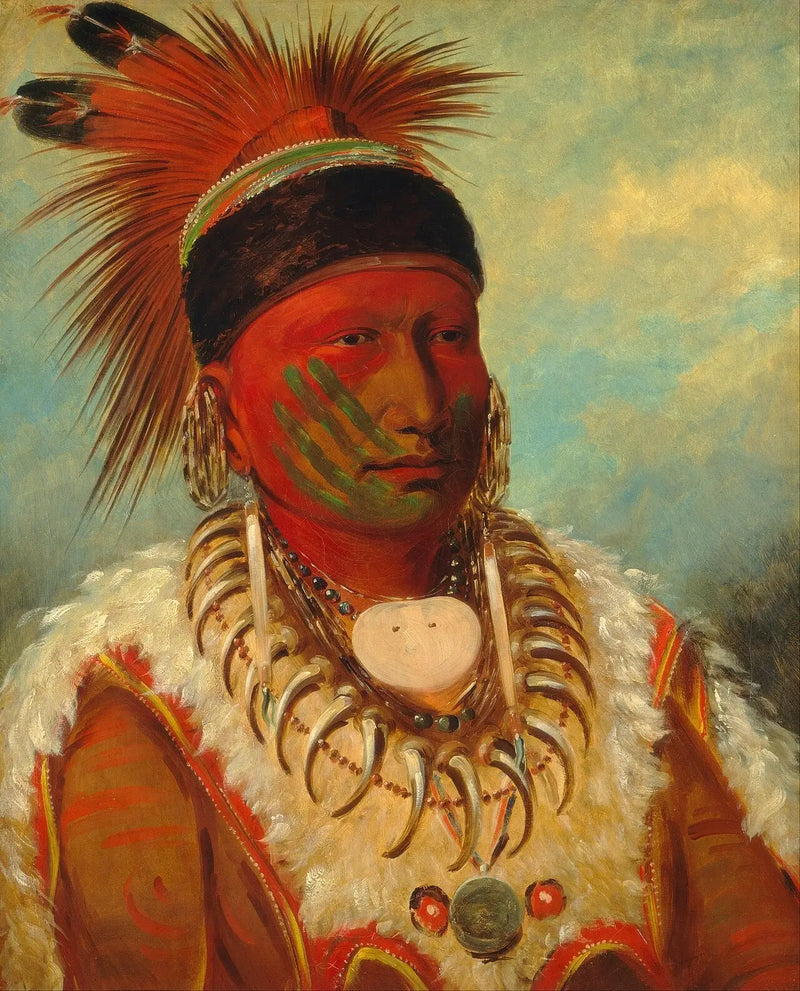 Beyaz Bulut, Iowasların Şefi - George Catlin