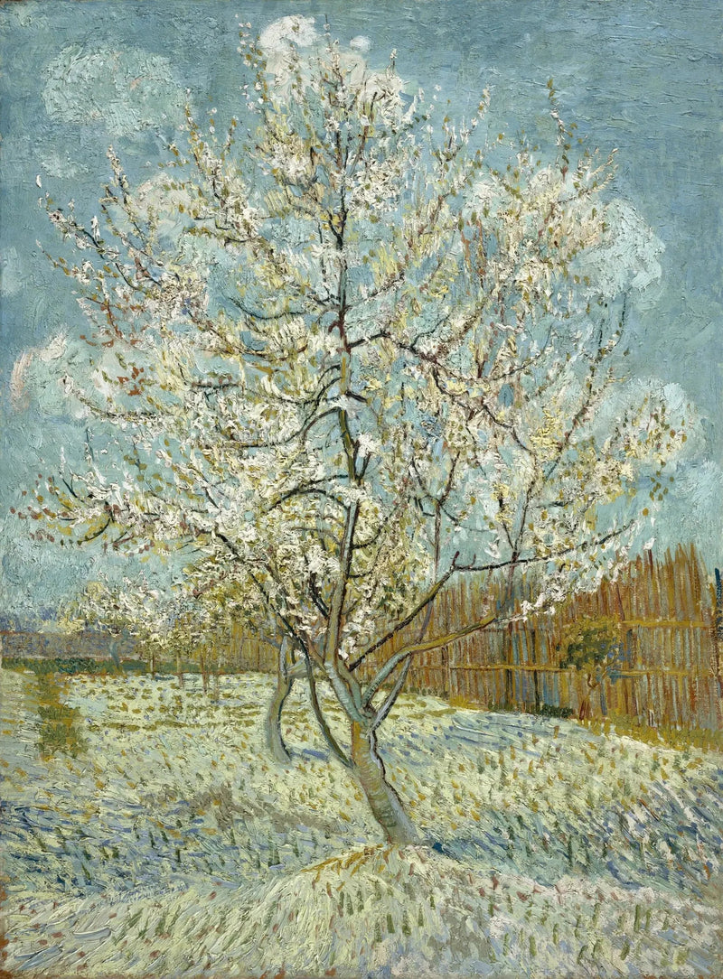 Pembe Şeftali Ağacı - Vincent van Gogh