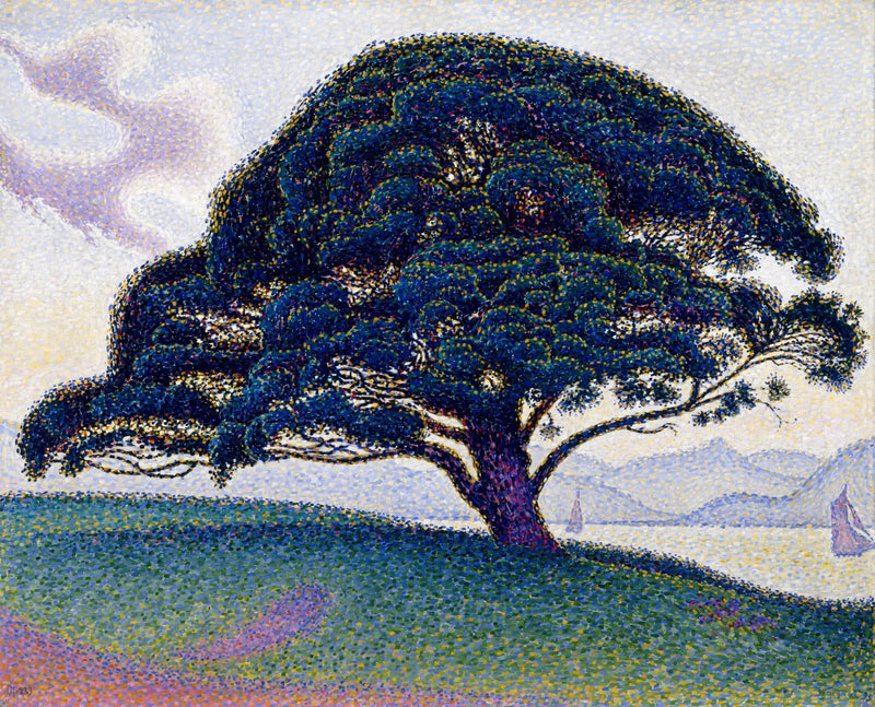 Bonaventure Çamı - Paul Signac