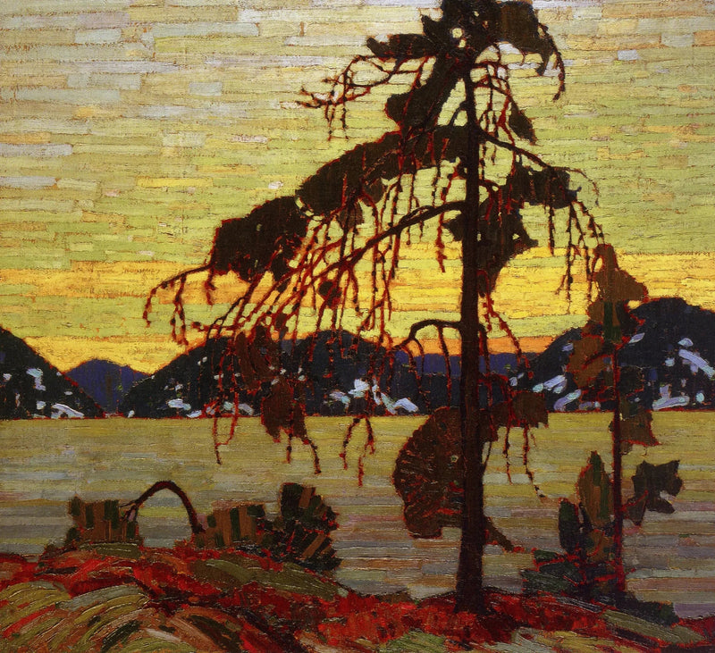 Gri Çam - Tom Thomson