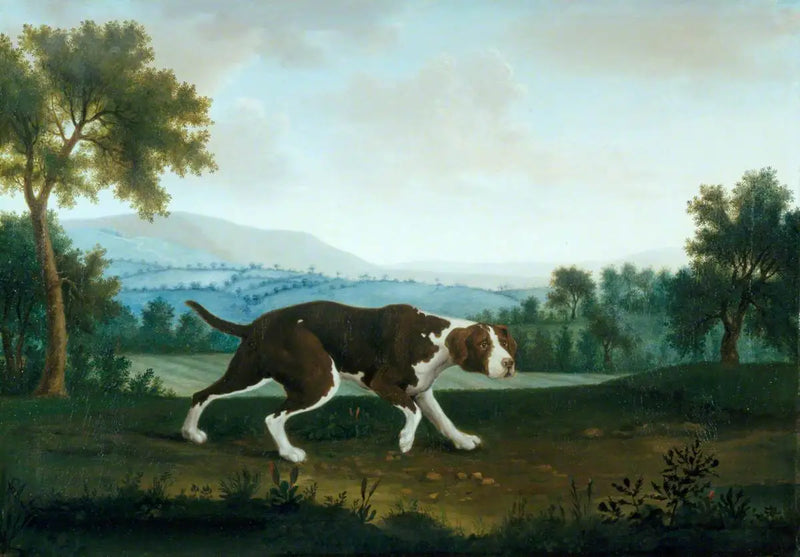 İspanyol İşaretçi - George Stubbs