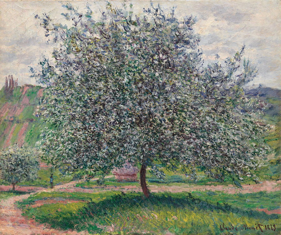 Çevirisi mevcut olmayan başlık - Claude Monet