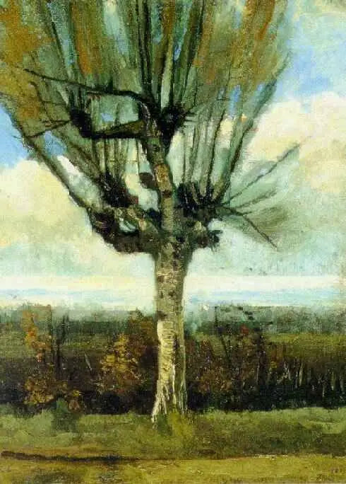 Söğüt - Vincent van Gogh