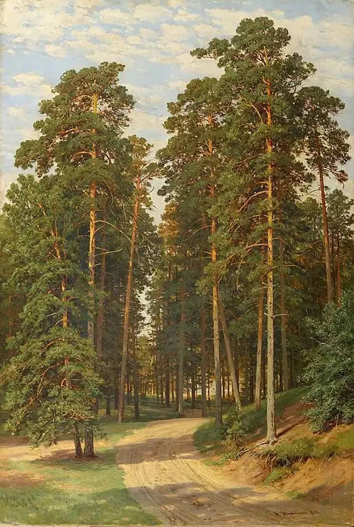 Güneş Ormanda - Ivan Chichkine