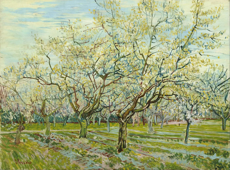 Beyaz Meyve Bahçesi - Vincent van Gogh