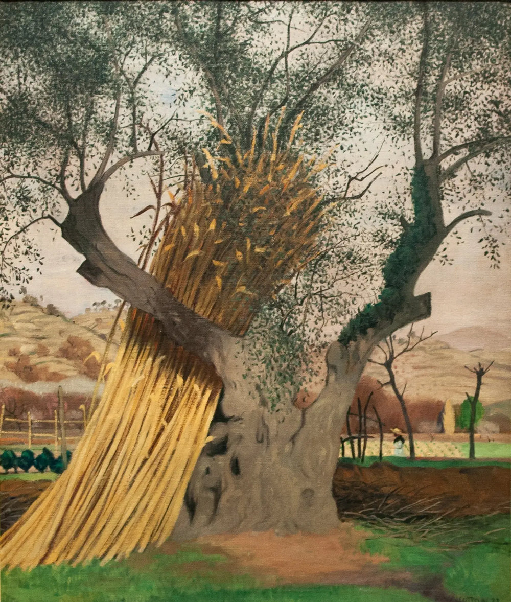 Le Vieil Olivier - Félix Vallotton - Alpha Reproduction