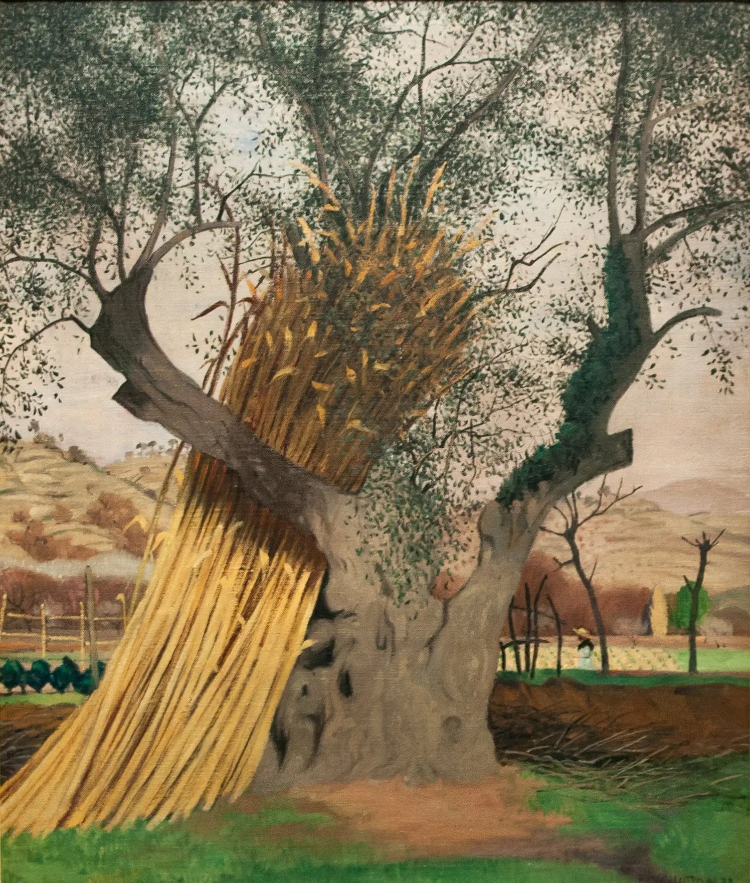 Le Vieil Olivier - Félix Vallotton - Alpha Reproduction