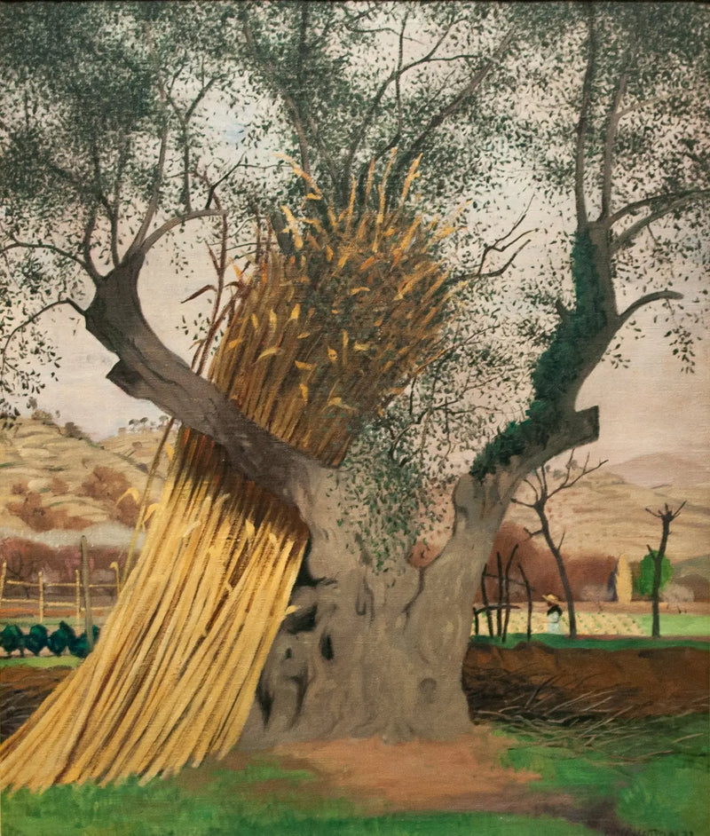 The Old Olive Tree - Félix Vallotton