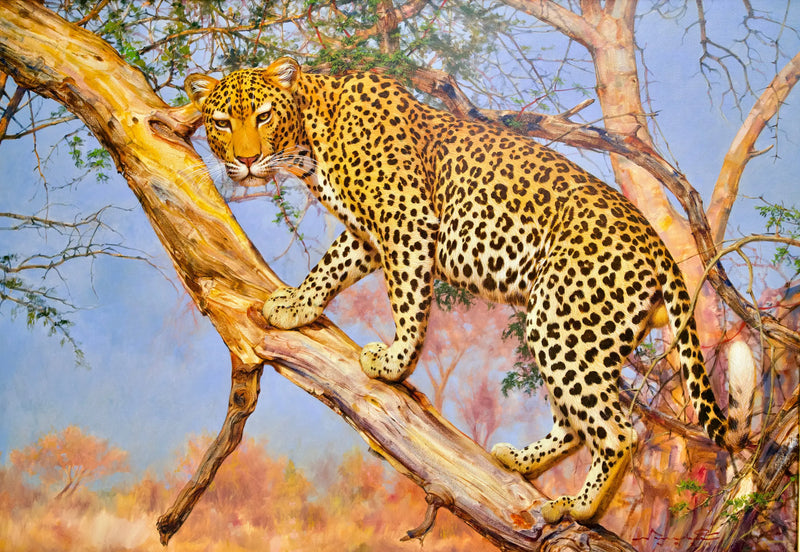 Ağaçtaki Leopar | 150x100 cm