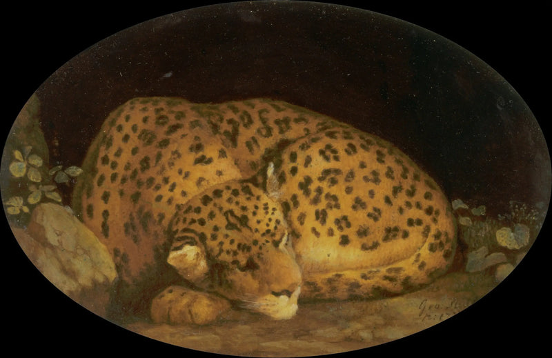 Uyuyan Leopar - George Stubbs