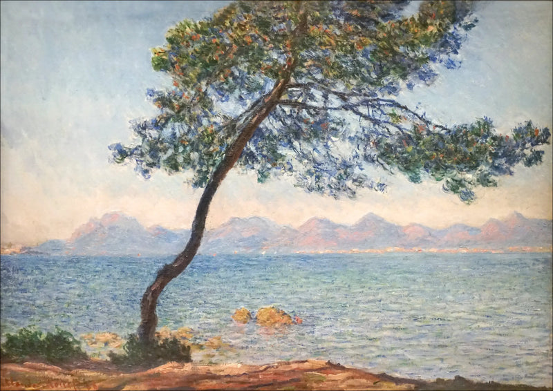 Antibakteriyeller - Claude Monet