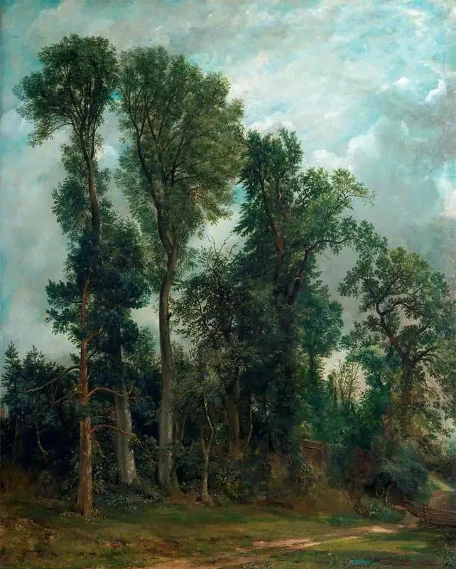 Hampstead Ağaçları: Kiliseye Giden Yol - John Constable