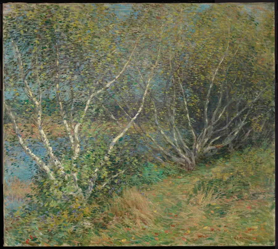 Kavaklar - Willard Metcalf