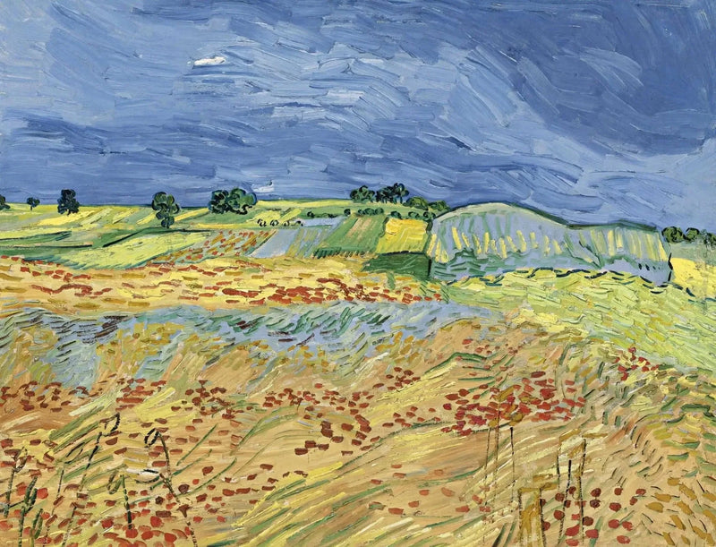 Tarlalar - Vincent van Gogh