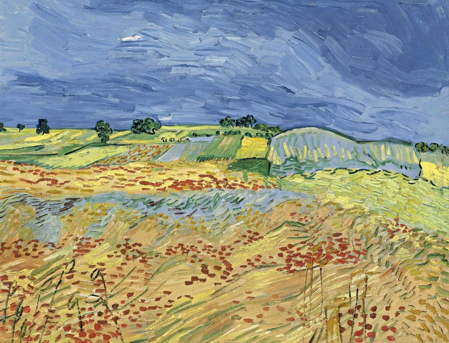 Tarlalar - Vincent van Gogh