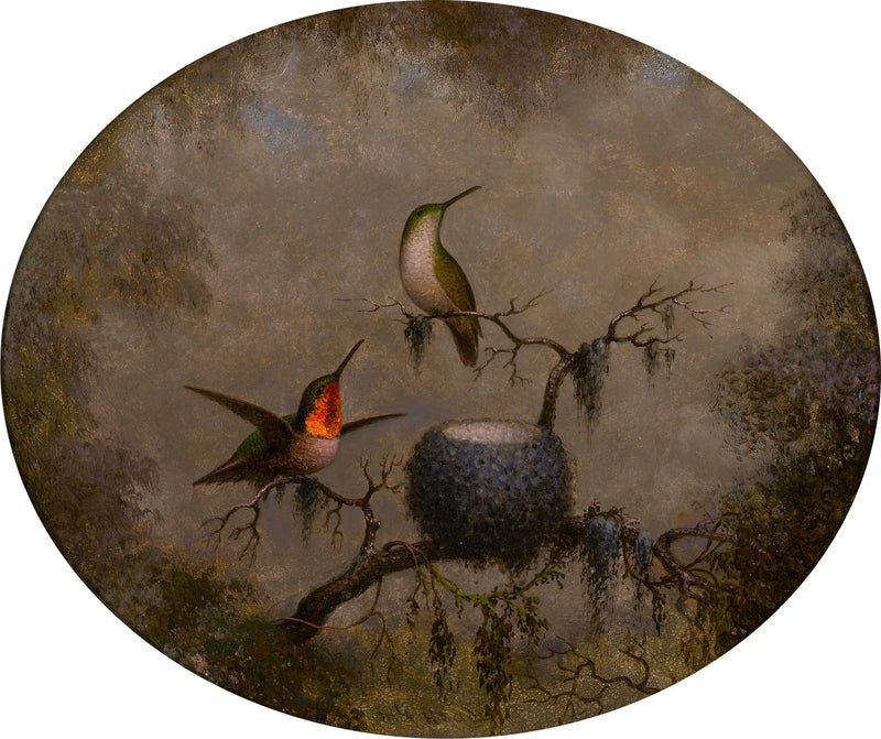 Kolibriler ve Yuvaları - Martin Johnson Heade