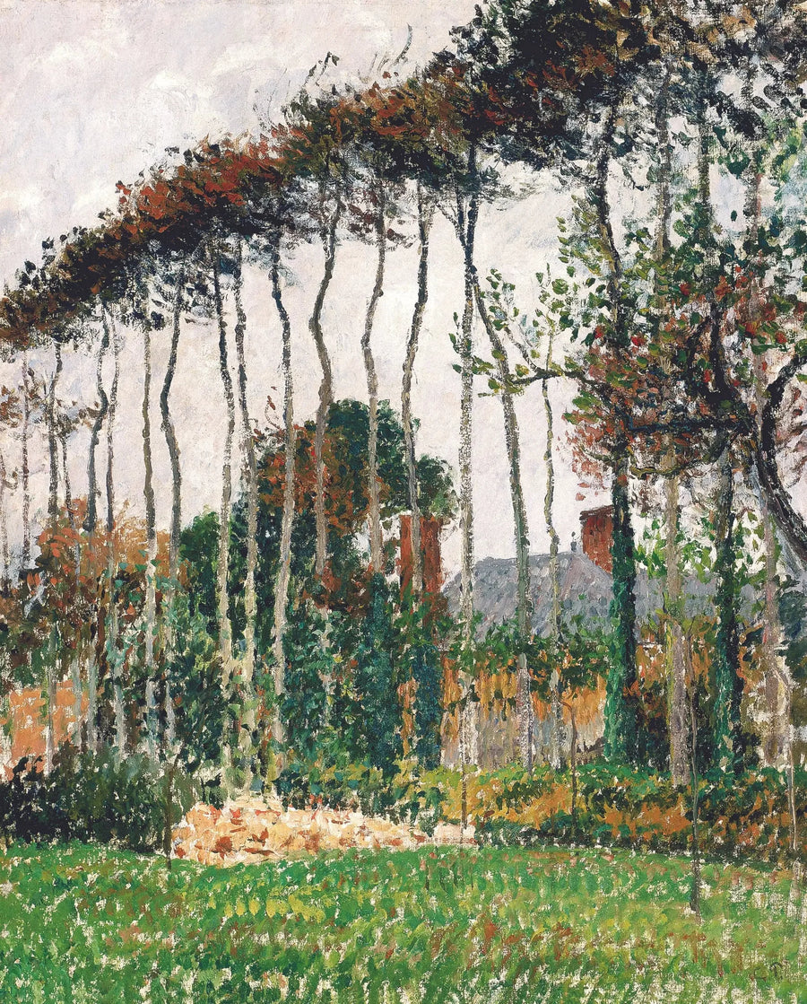 Varengeville'deki Büyük Kayın Ağaçları - Camille Pissarro