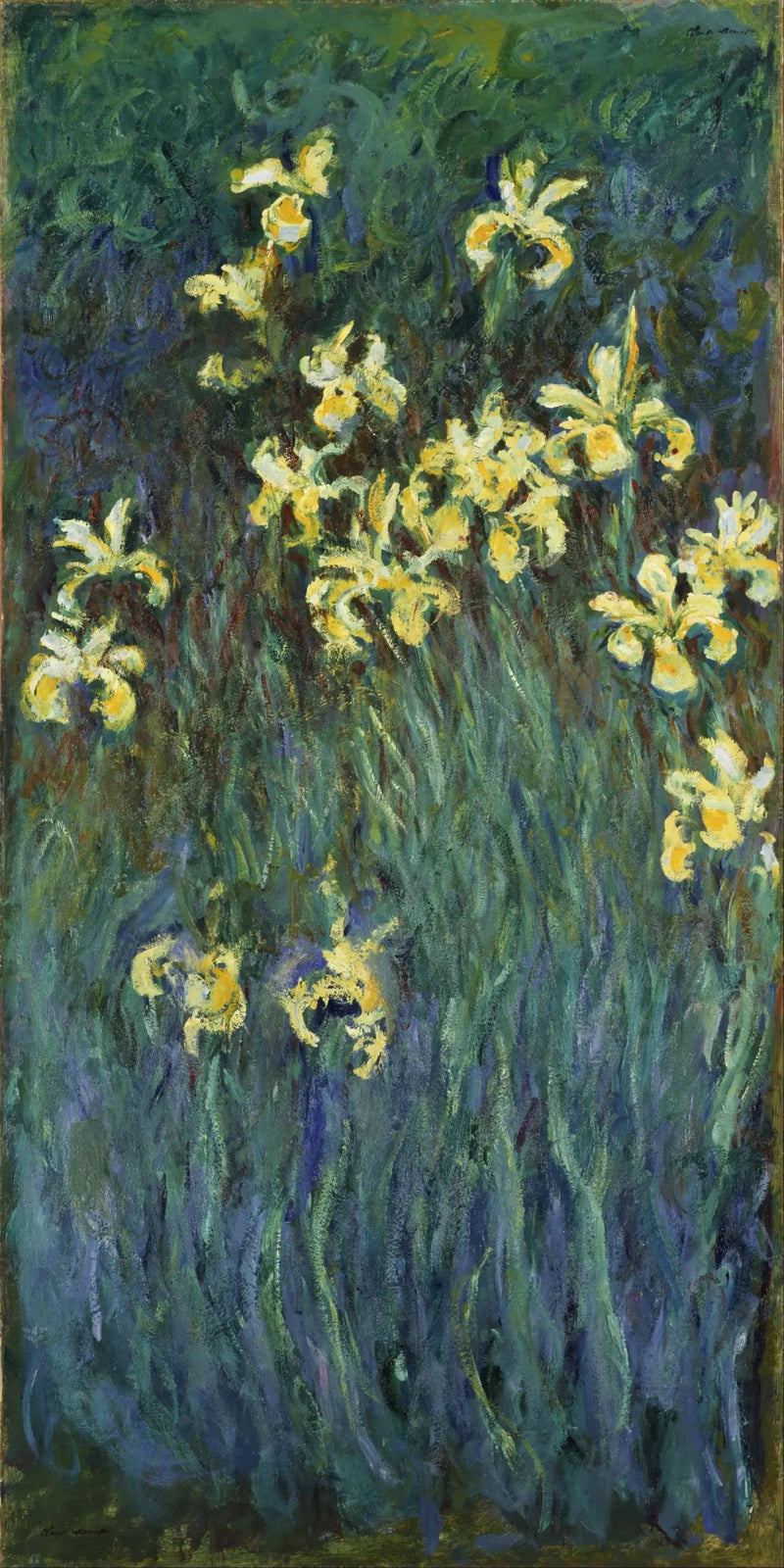 Sarı irisler - Claude Monet