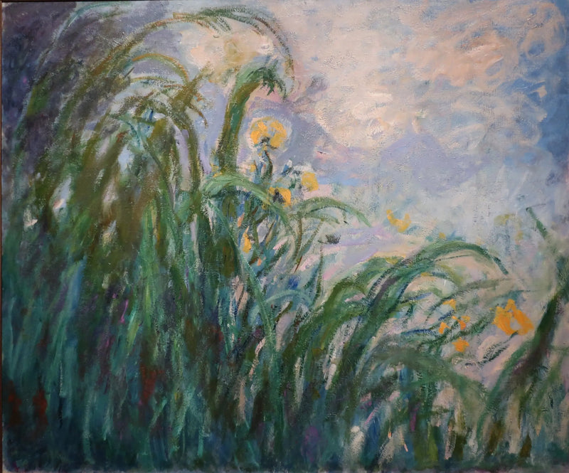 Sarı irisler - Claude Monet