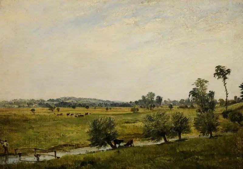 Nem çayırları, Salisbury, Wiltshire - John Constable