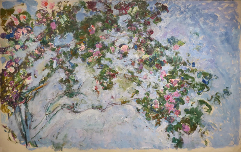 Güller - Claude Monet