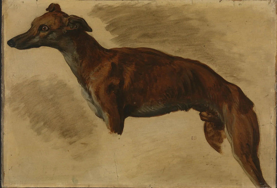 İtalyan Greyhound - Eugène Delacroix