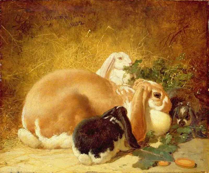 Belçika Tavşanları - John Frederick Herring, Sr.