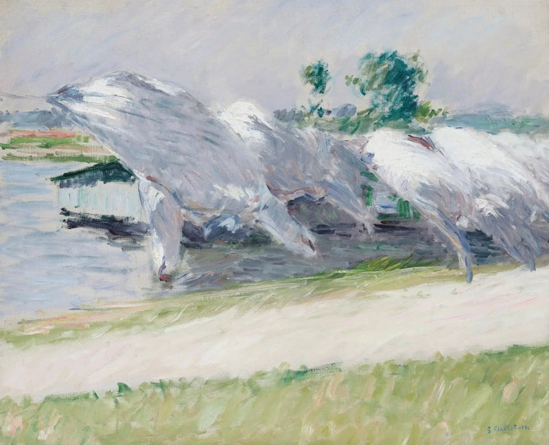 Kurutma Bezi, Petit Gennevilliers - Gustave Caillebotte