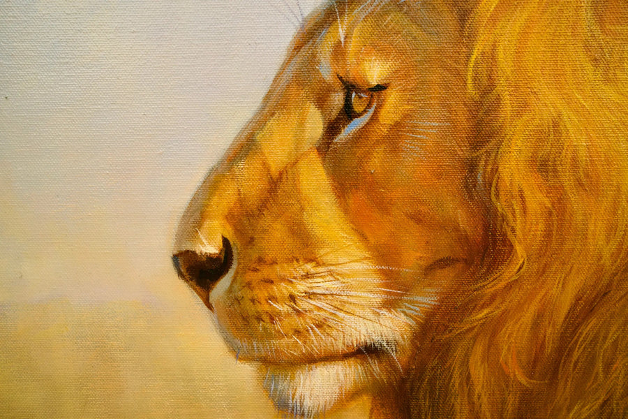 Savanadaki aslan | 150x100 cm