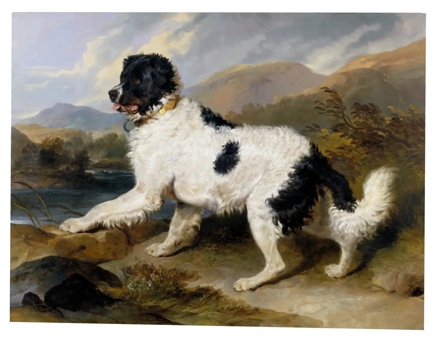 Lion', bir Newfoundland köpeği - Edwin Henry Landseer