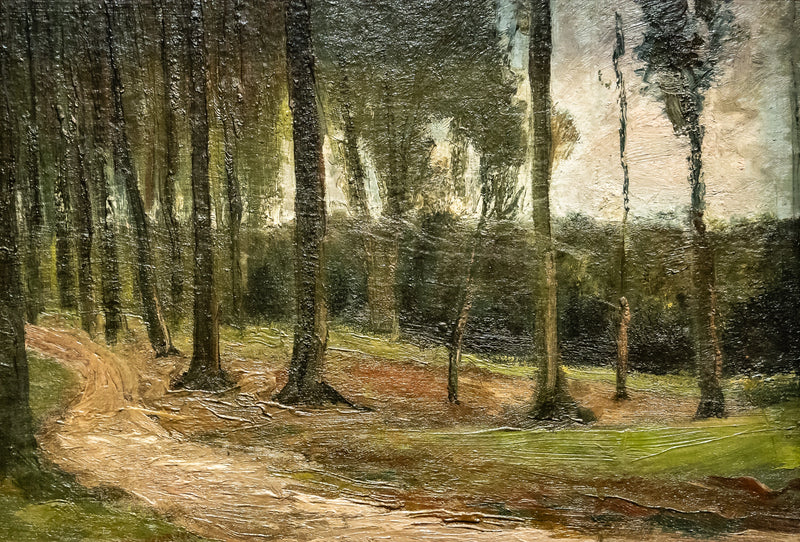 bir ormanın kenarı - Vincent van Gogh
