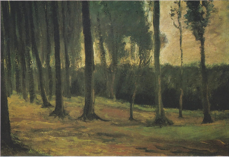 bir ormanın kenarı - Vincent van Gogh