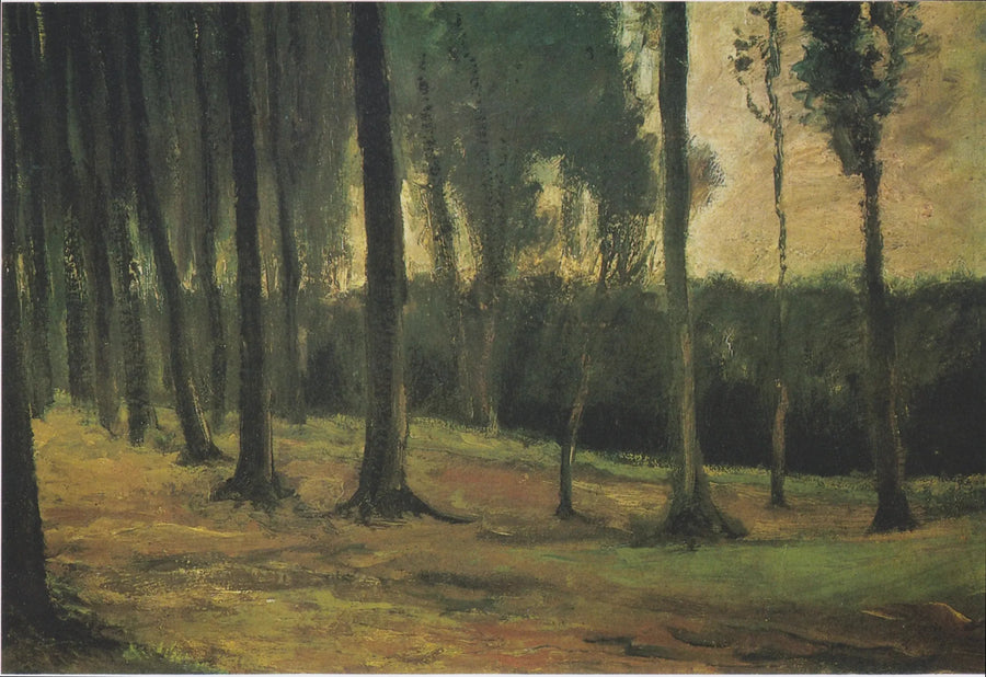 bir ormanın kenarı - Vincent van Gogh